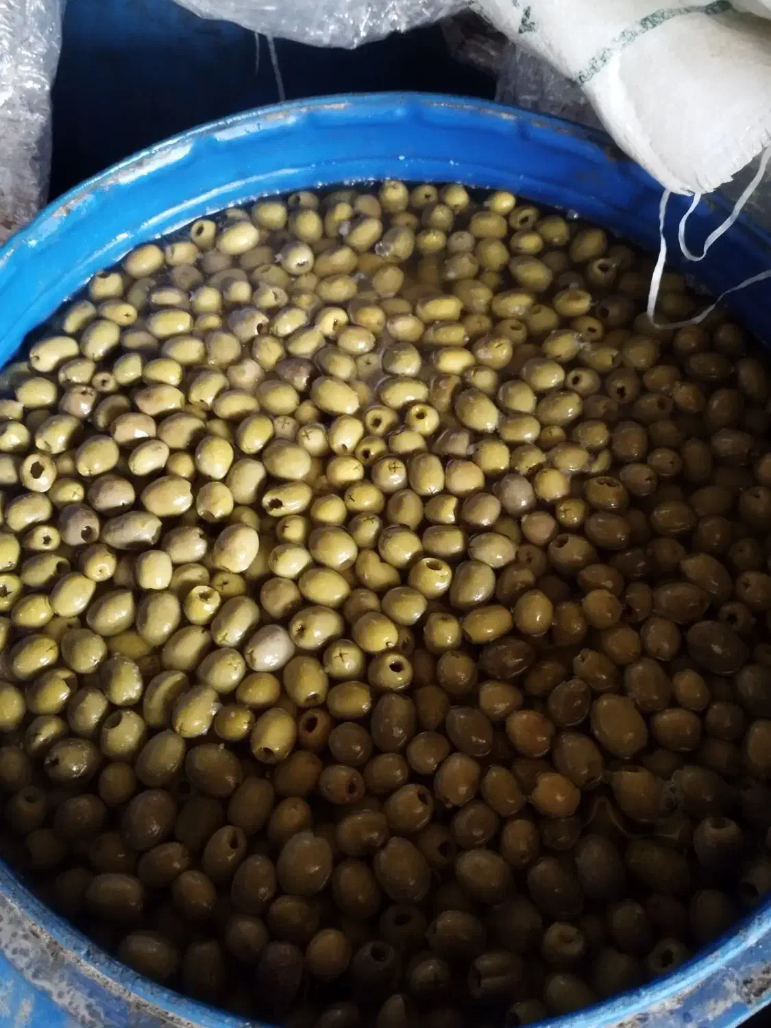 پخش خیارشور ،زیتون،ترشی،اب معدنی با قیمت مناسب|خوردنی و آشامیدنی|رشت, شهریاران|دیوار