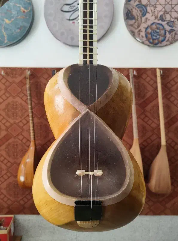 تار|سازهای سنتی|نورآباد, |دیوار