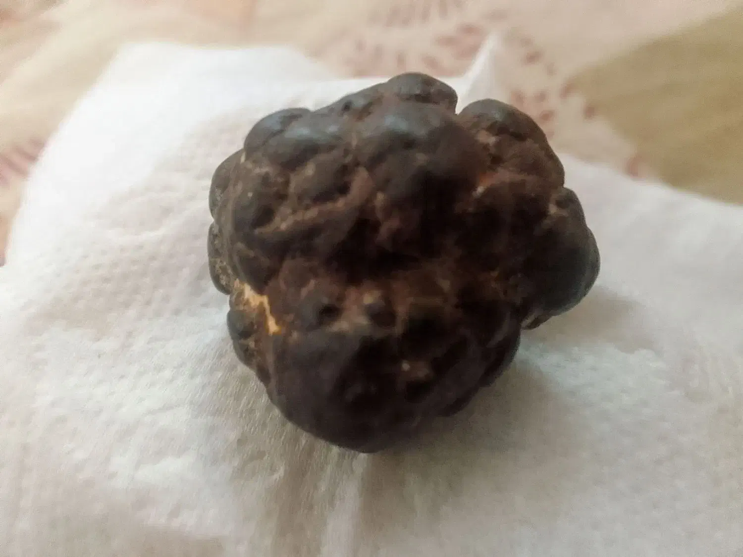 شهاب سنگ به شرط آزمایش|جواهرات|کازرون, |دیوار