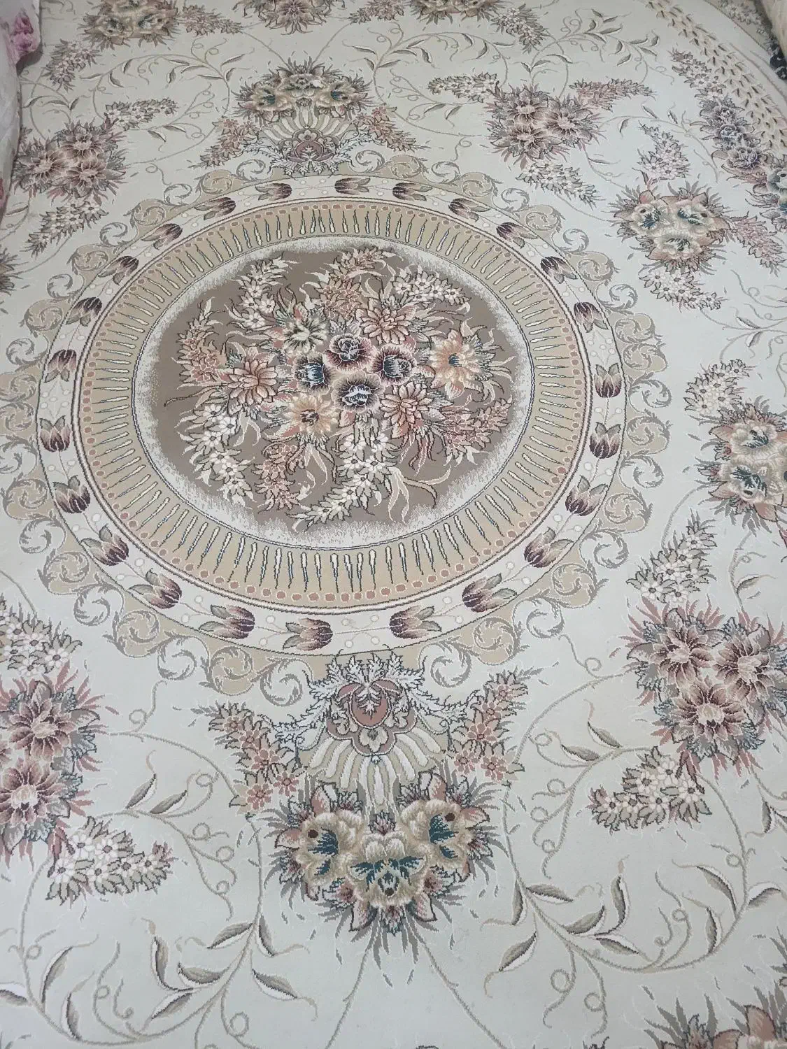 دوتا فرش ۱۲متری دانه|فرش|تربت‌حیدریه, کلاته توکلی|دیوار