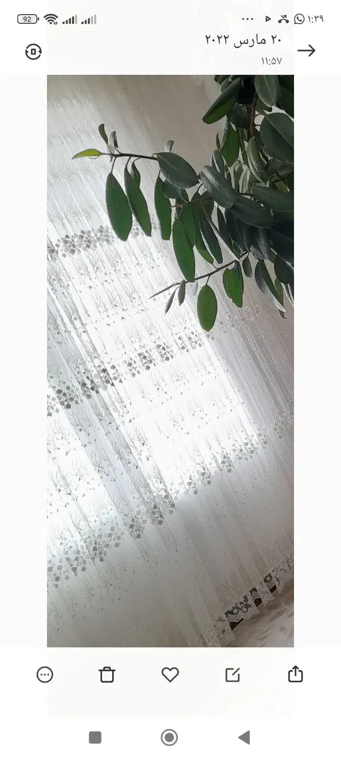 پرده|پرده، رانر، رومیزی|مریوان, |دیوار