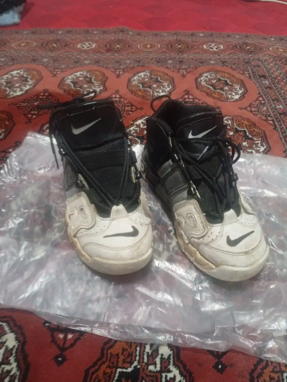 شخصی|کیف، کفش، کمربند|گنبد کاووس, |دیوار