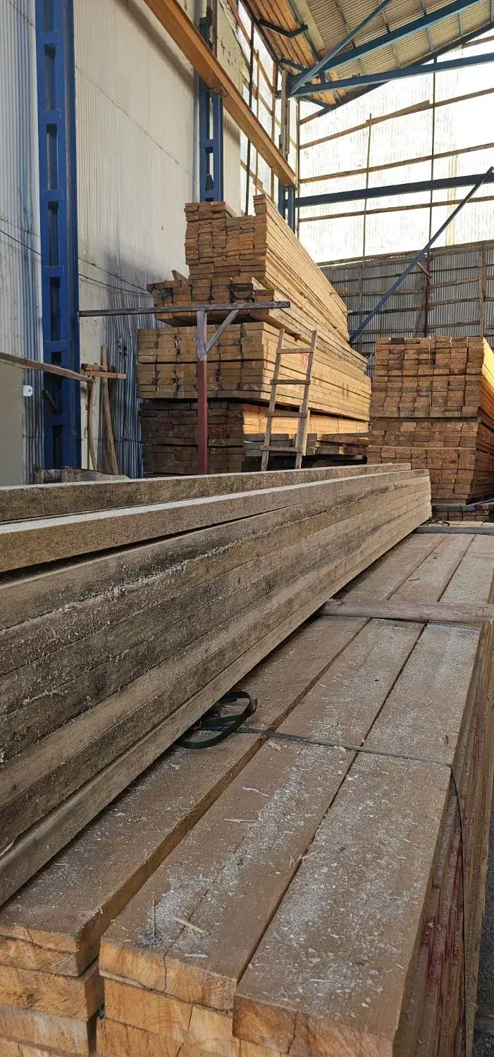 نیروی کار در چوب بری|استخدام معماری، عمران و ساختمانی|لاهیجان, حاجی آباد|دیوار