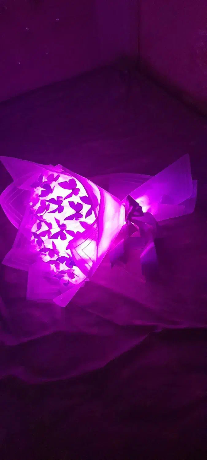 گل پروانه چراغدار وگل مصنوعی|گل مصنوعی|تبریز, |دیوار