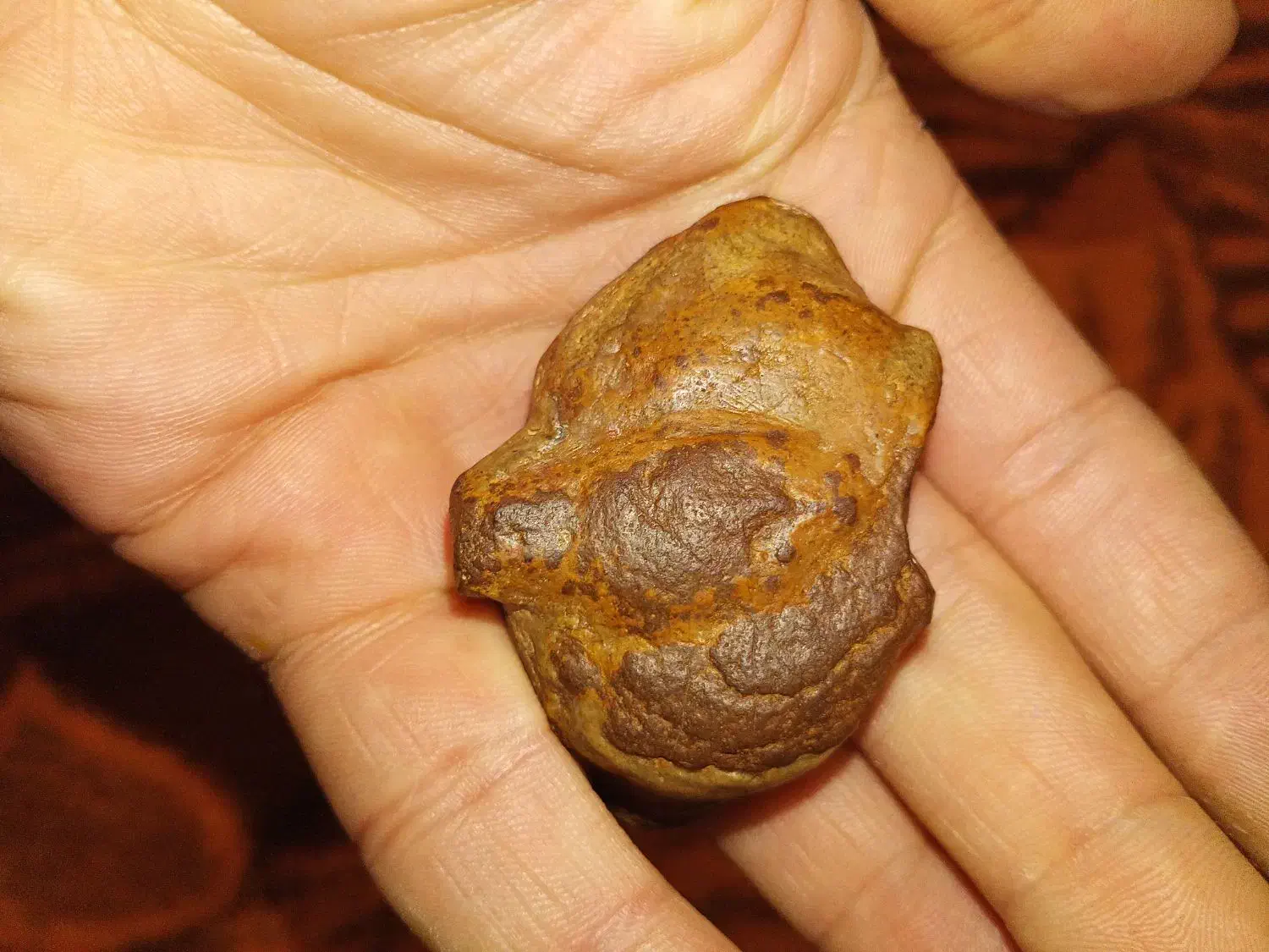 سنگ قیمتی|جواهرات|شهر ری, فیروزآباد|دیوار