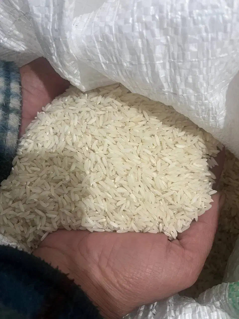 برنج هاشمی مناسب|خوردنی و آشامیدنی|رشت, یخسازی|دیوار