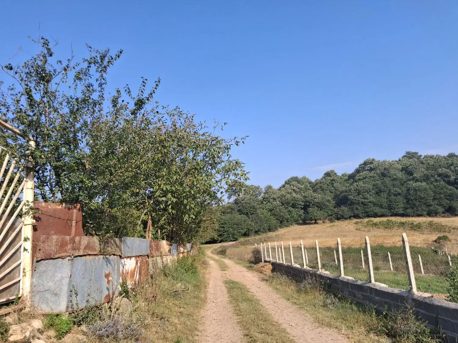 زمین فروشی در ساری،دودانگه،منطقه فریم|فروش زمین و ملک کلنگی|فریم, |دیوار