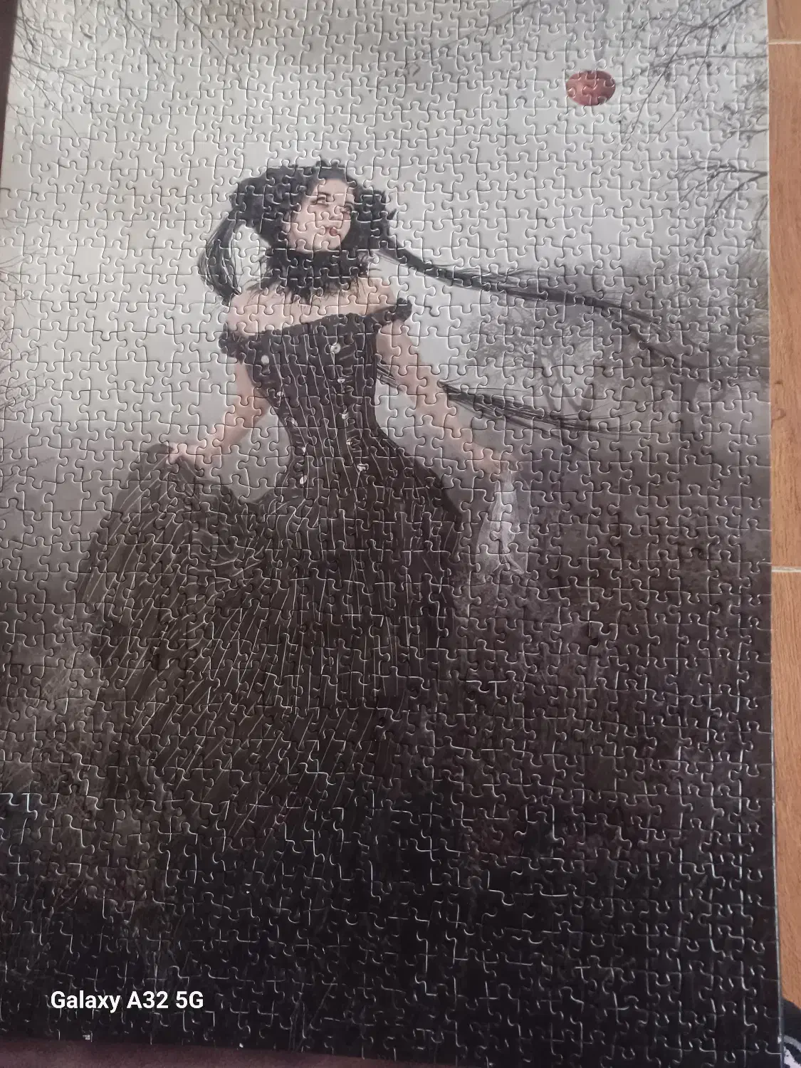 پازل|کلکسیون و سرگرمی|چمستان, |دیوار