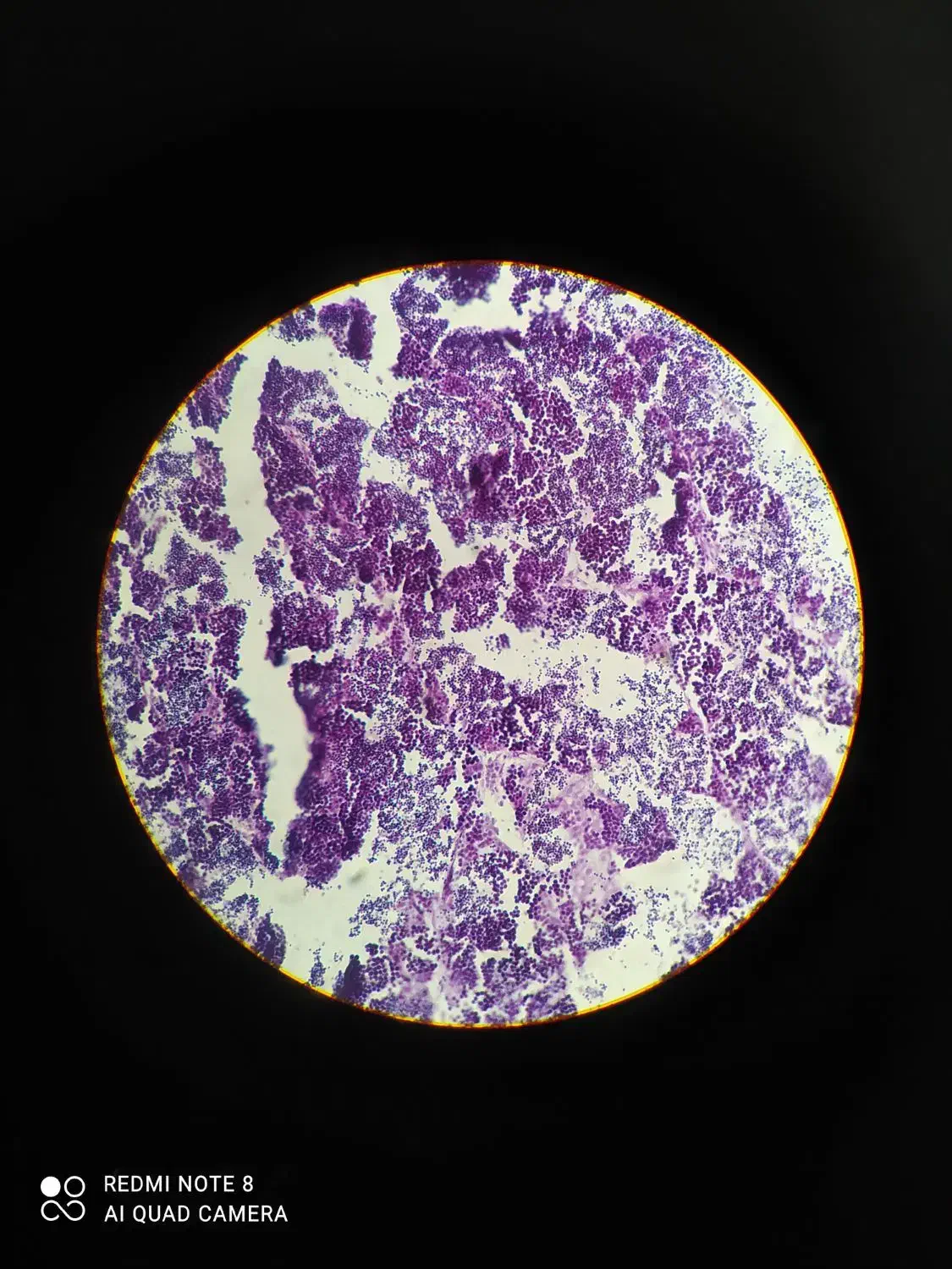 پروپوزال، مقاله، پایان نامه و ساخت پاورپوینت|خدمات آموزشی|اهواز, کوی ملی راه|دیوار