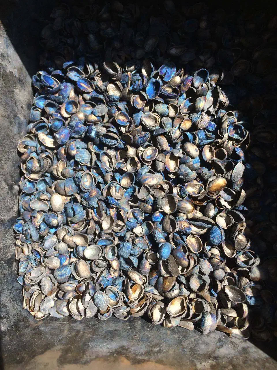 کربن پوست پسته|عمدهفروشی|دورود, |دیوار