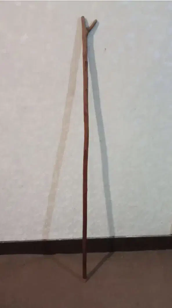 عصا چوبی|آرایشی، بهداشتی، درمانی|اهواز, کوی آغاجاری|دیوار