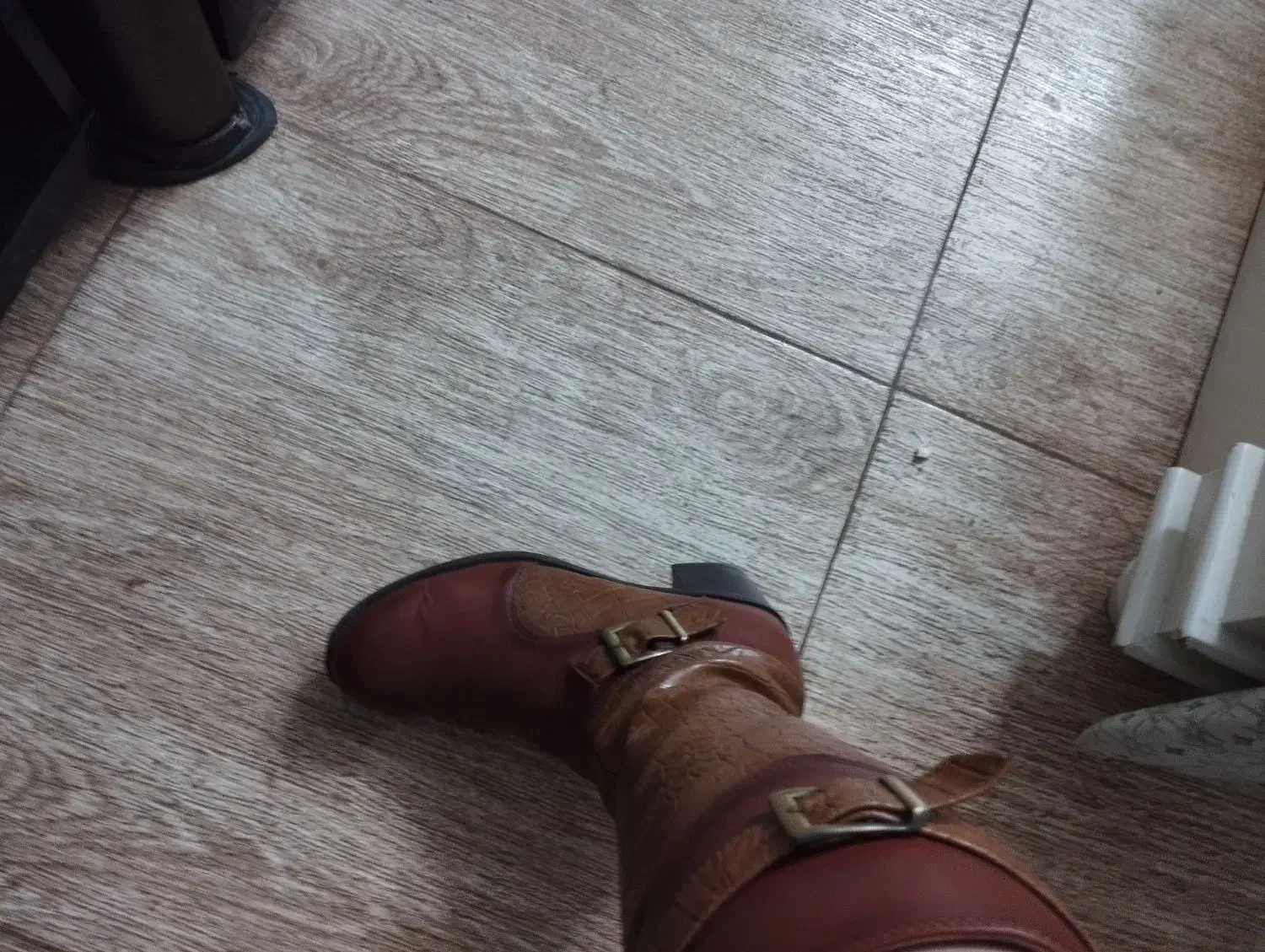 چکمه نو|کیف، کفش، کمربند|اصفهان, شهرک زاینده رود|دیوار