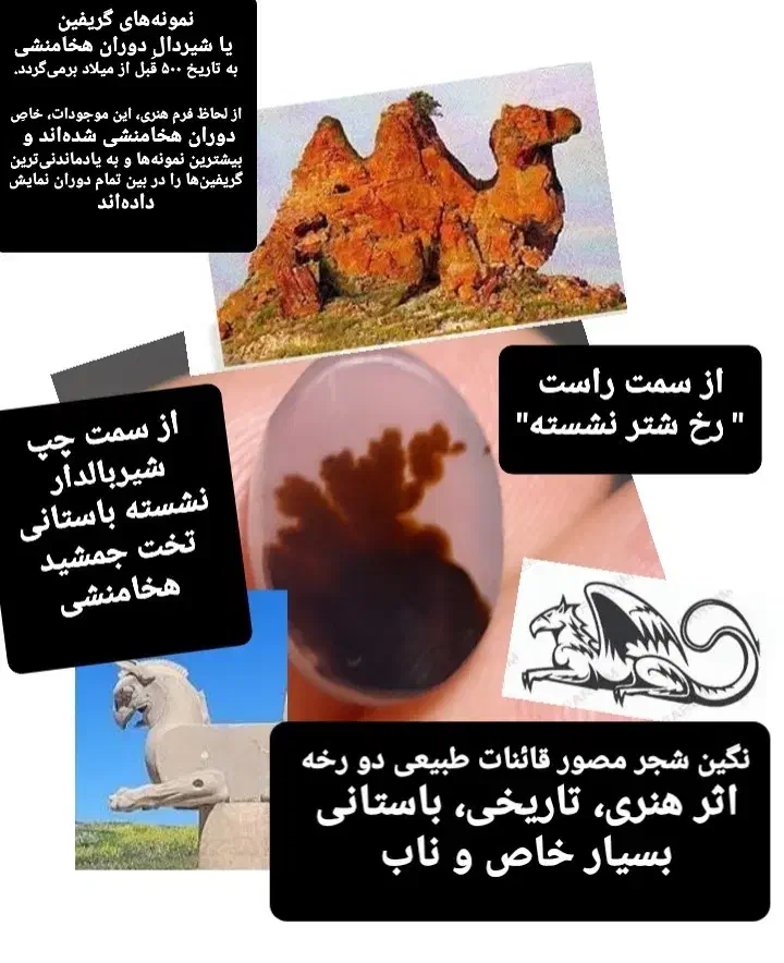 کلکسیون نگین شجرمصور معاوضه با انگشتر اوپال زبرجد|کلکسیون اشیاء عتیقه|زنجان, |دیوار