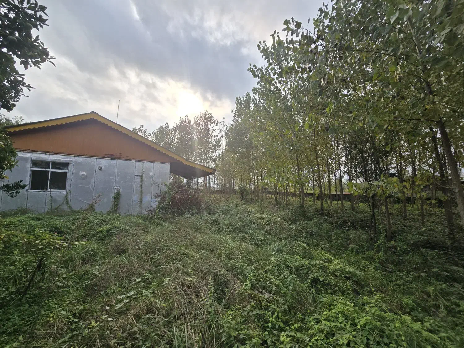 ۲۷۰۰ متر زمین با ویلا و سند ششدانگ|فروش خانه و ویلا|رضوانشهر, |دیوار