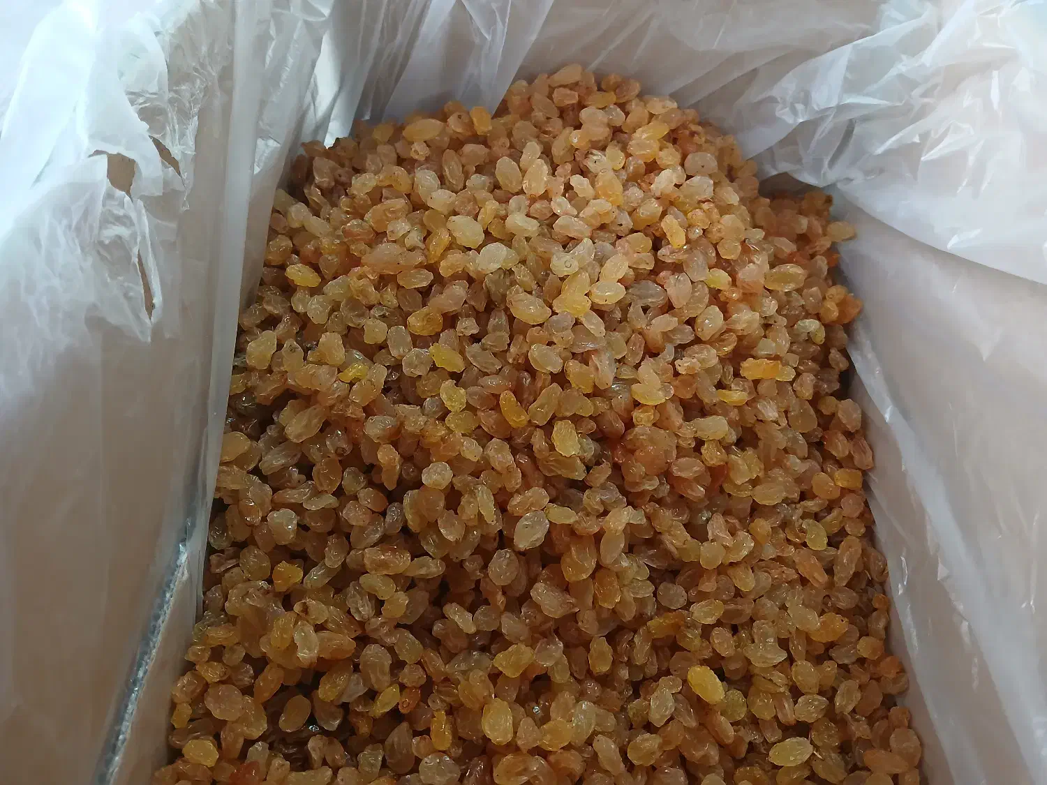 خدمات شستشو و بسته بندی انواع کشمش|ماشین‌آلات صنعتی|بناب, |دیوار