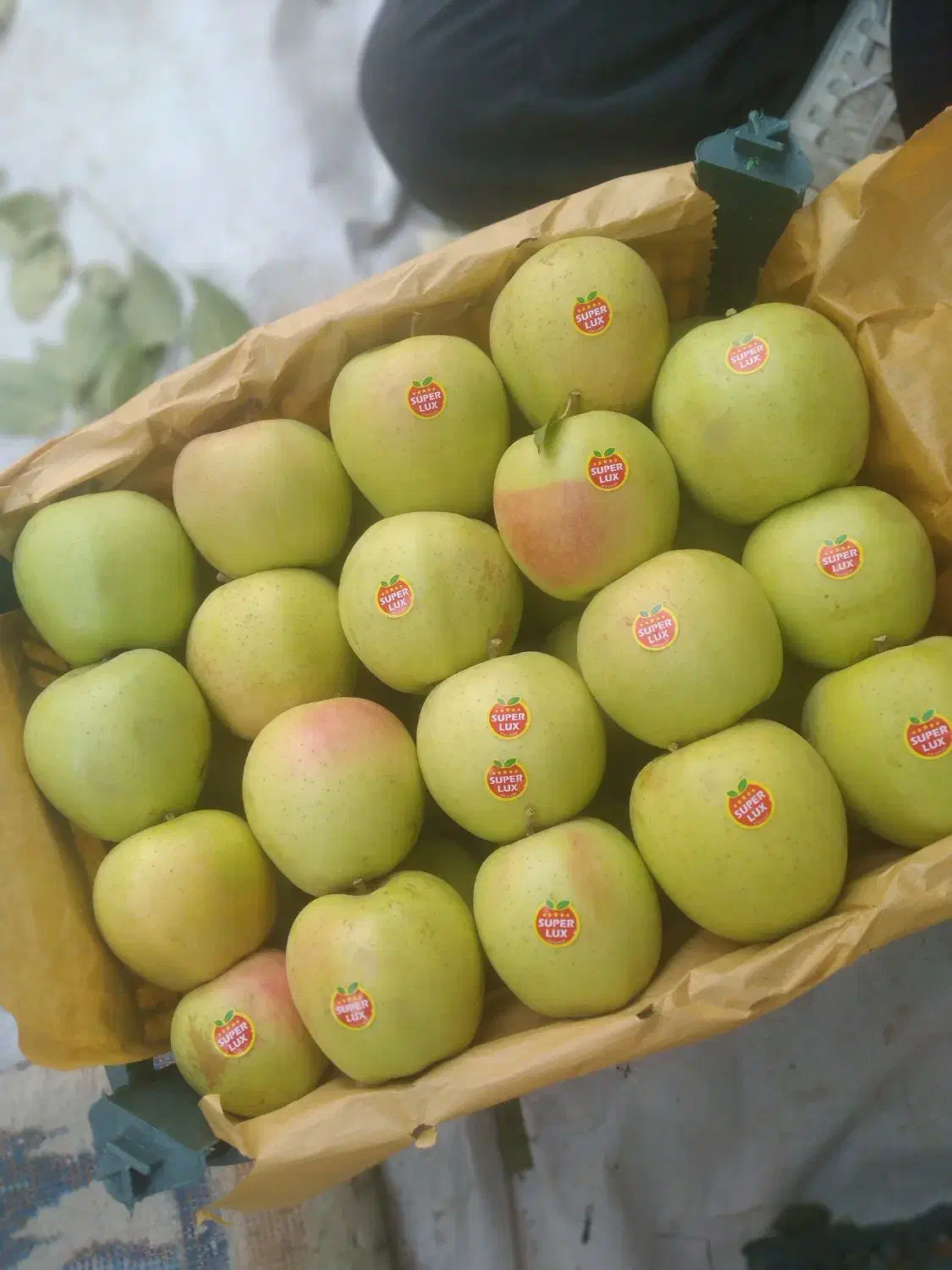 سیب ۳ردیف درجه۱|خوردنی و آشامیدنی|سیلوانه, |دیوار