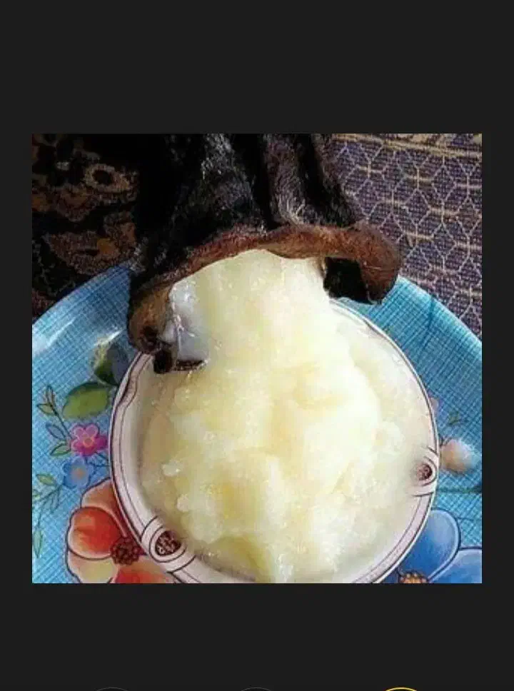 روغن بز سرحدی(روغن خش)|خوردنی و آشامیدنی|دهدشت, |دیوار