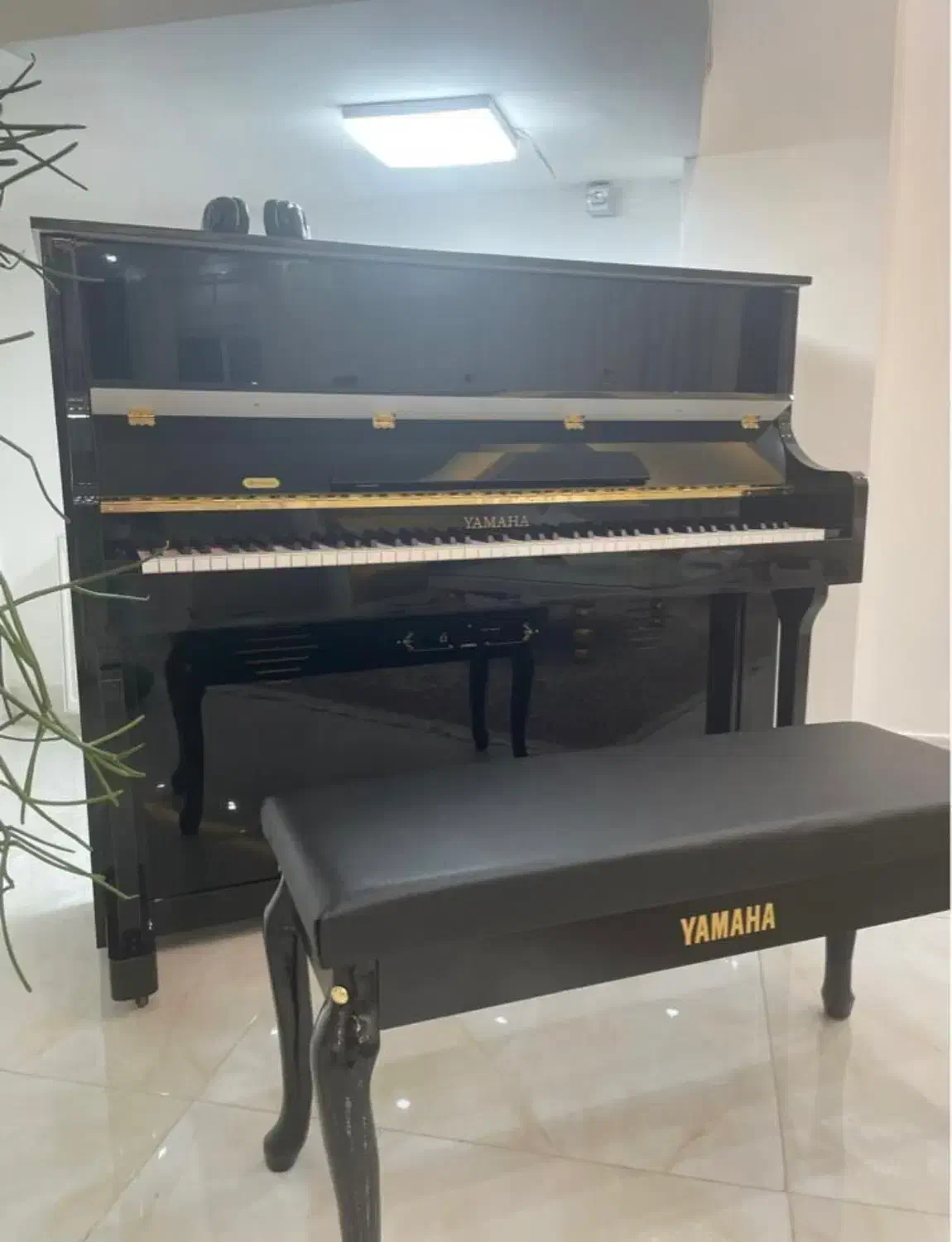 پیانو یاماها دیجیتال|پیانو، کیبورد، آکاردئون|چالوس, |دیوار