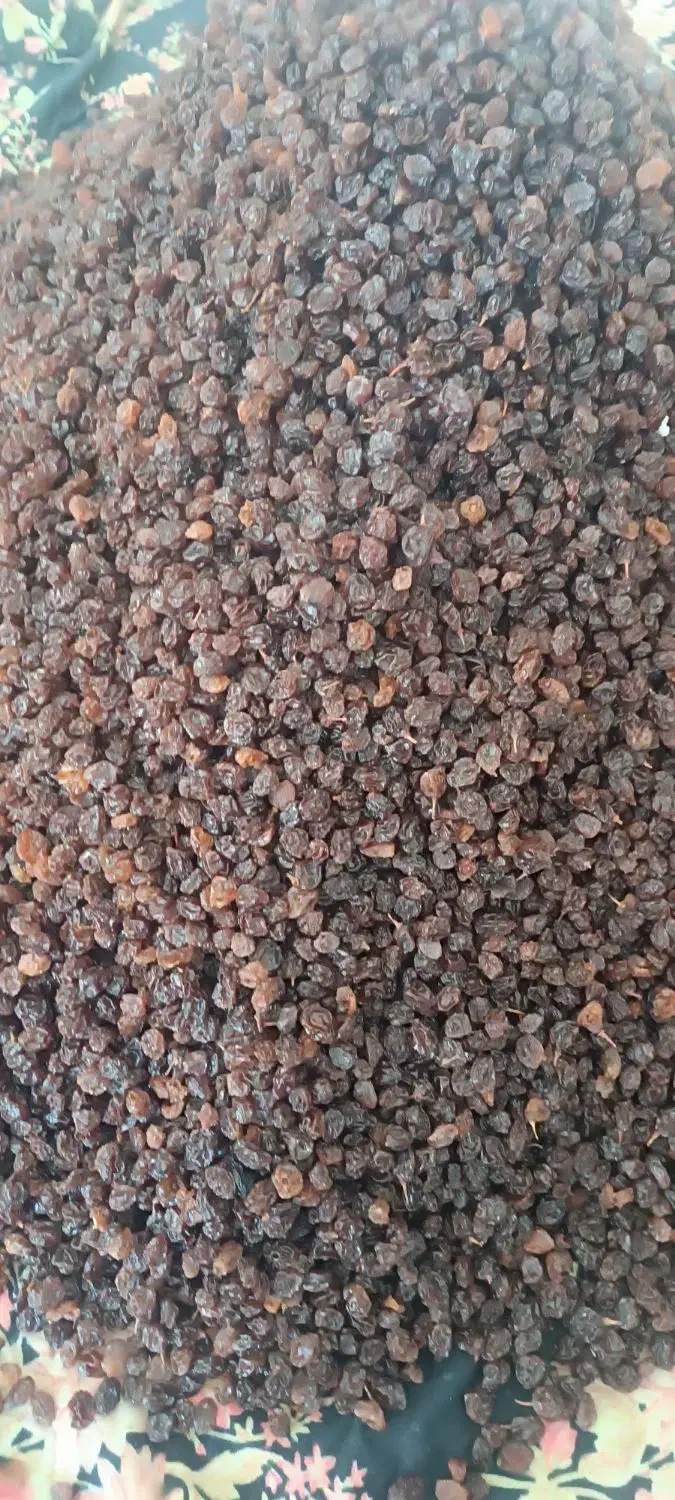 کشمش افتابی|خوردنی و آشامیدنی|ایوان, |دیوار