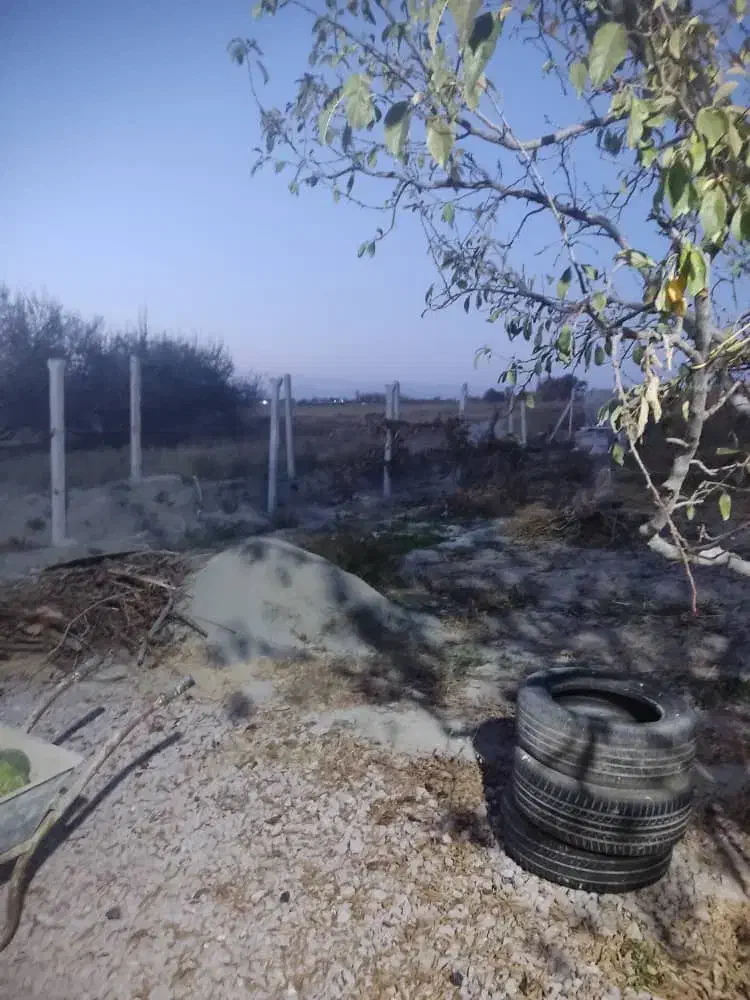 باغ ویلا|فروش خانه و ویلا|نوشین شهر, |دیوار