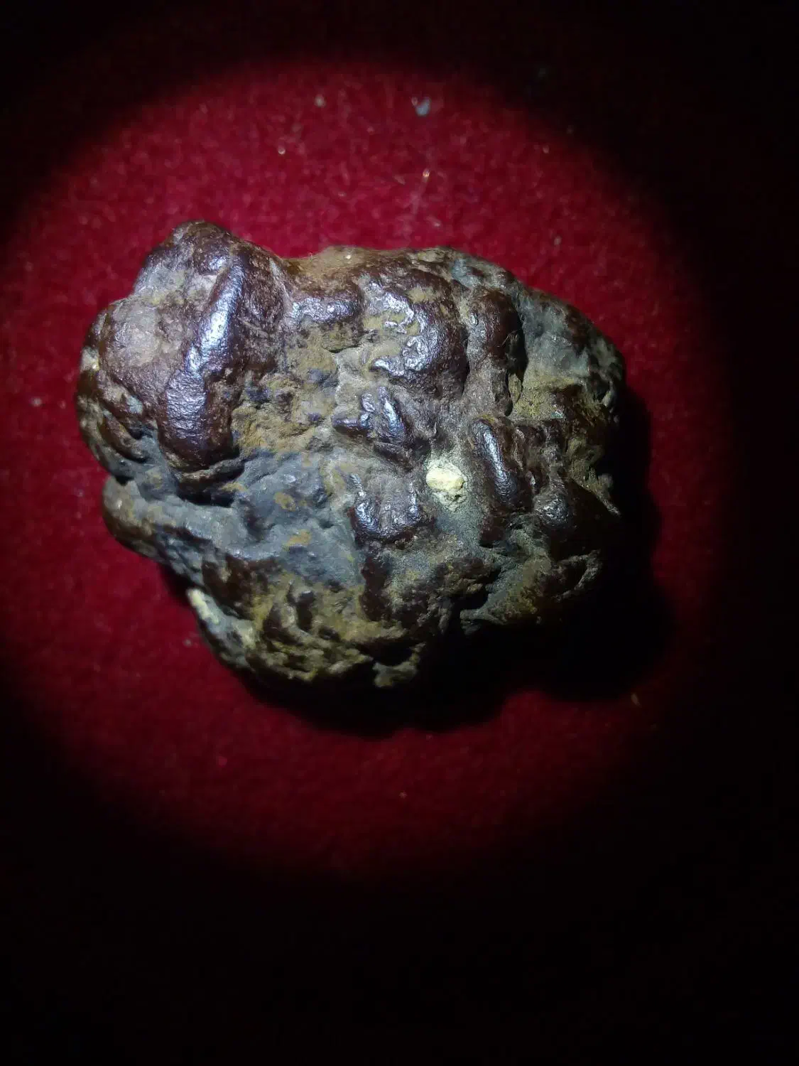 سنگ|کلکسیون اشیاء عتیقه|شیراز, میانرود|دیوار