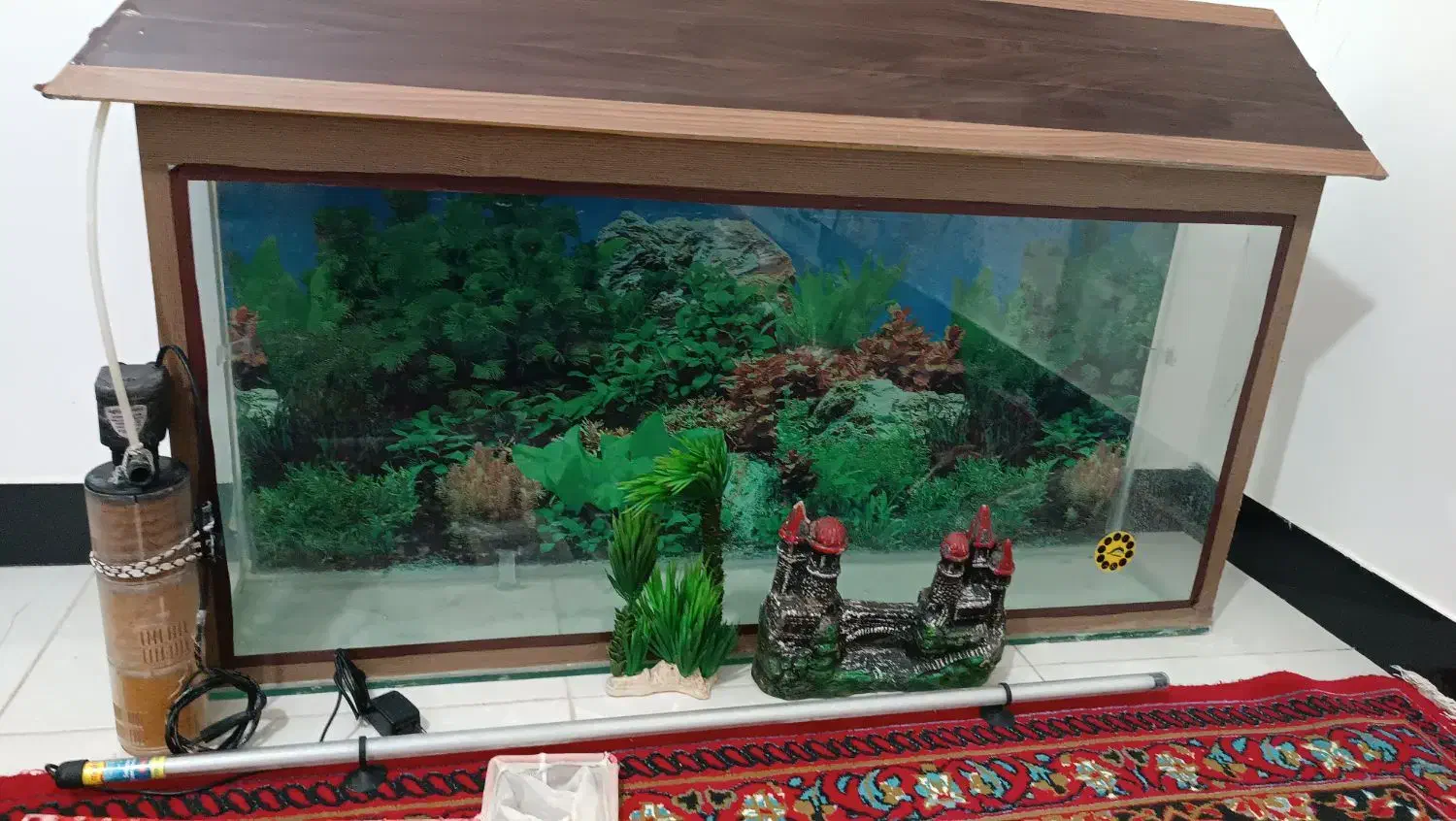 اکواریوم همراه با وسایل|ماهی|کوهدشت, |دیوار