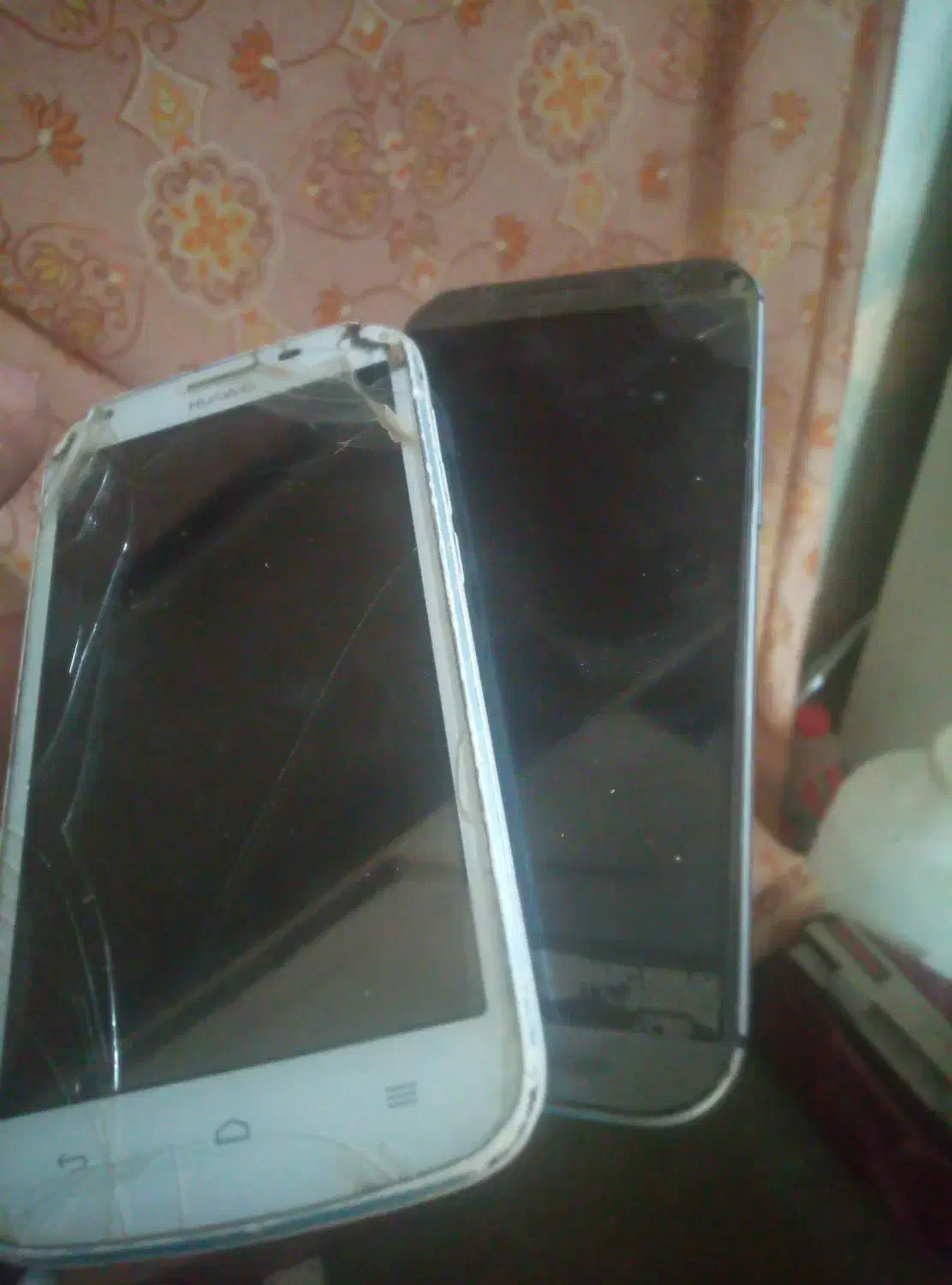 یک عدد کفتر سفیدهفت رنگ گمشده درمحدوده حافظ 5|اشیا|گناباد, |دیوار