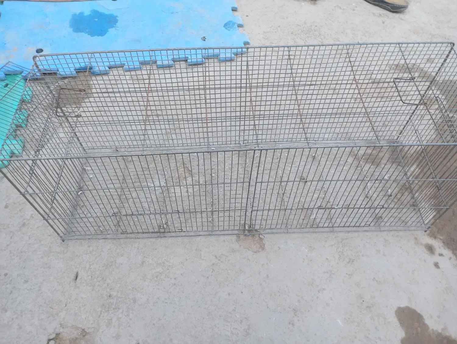 قفس کفتر مرغ عشق|لوازم جانبی حیوانات|الوند, |دیوار