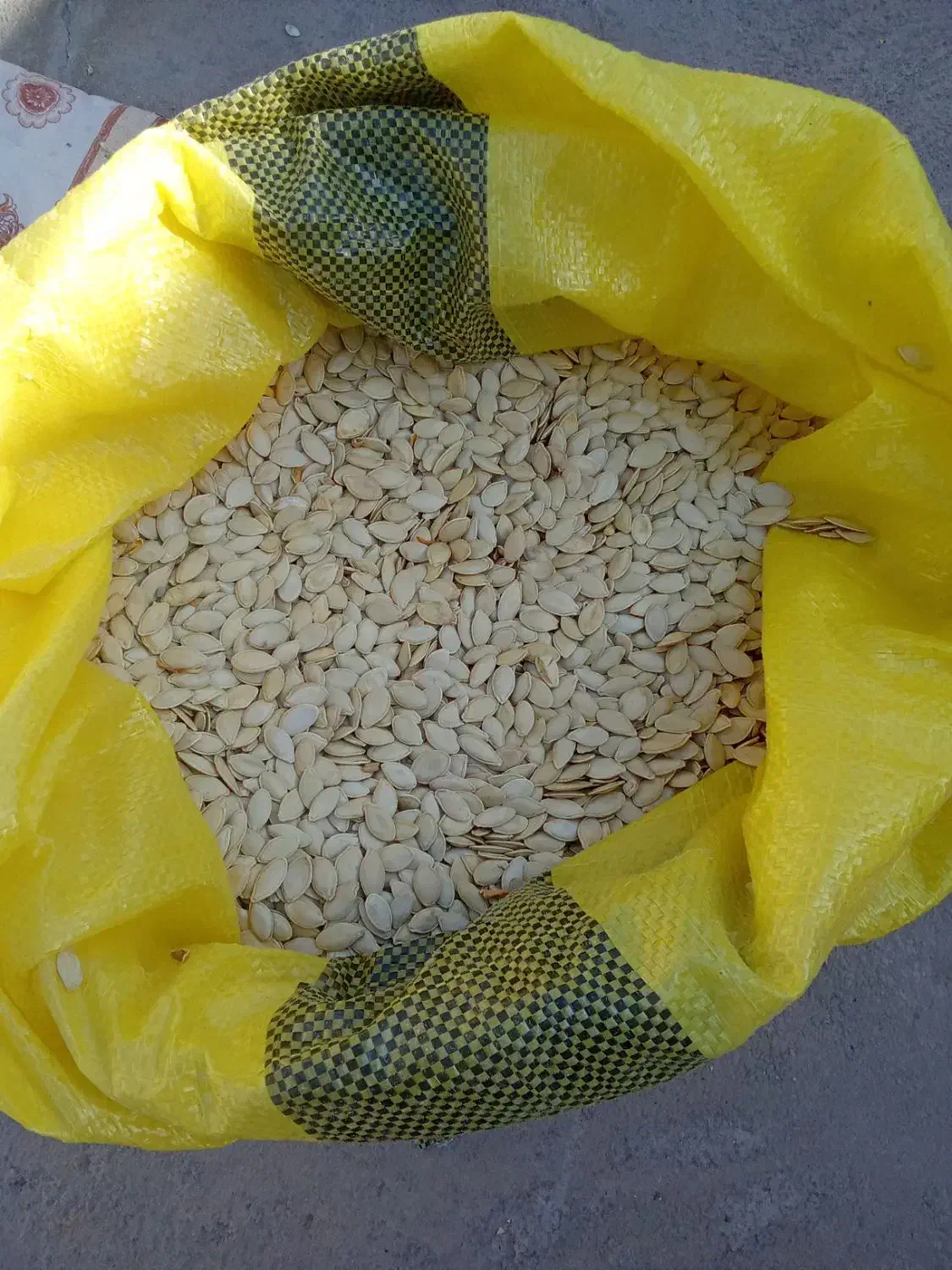 تخمه کدو|خوردنی و آشامیدنی|یامچی, |دیوار