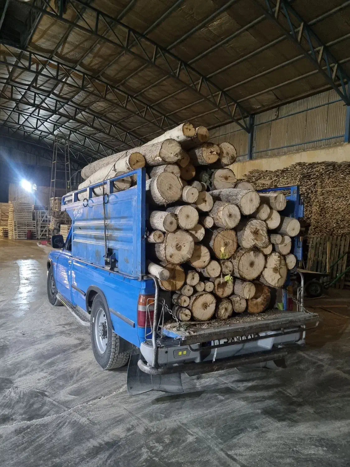 فروش چوب کبوده تحویل کارگاه|خدمات باغبانی و درختکاری|سامان, |دیوار