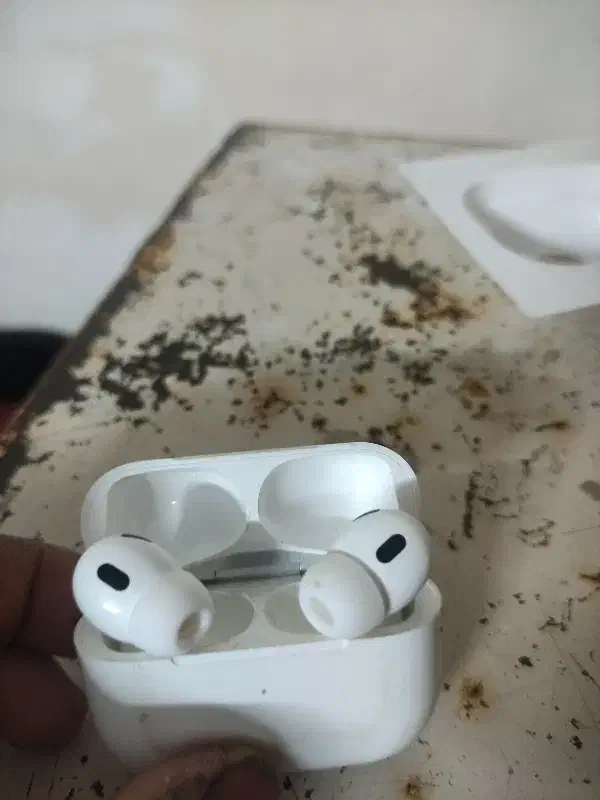 ایرپاد اصل|پخش‌کننده همراه|گنبد کاووس, |دیوار