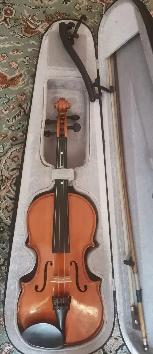 ویولن locto|ویولن|شیراز, سینما سعدی|دیوار