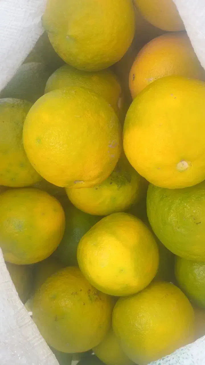 نارنج فروشی|خوردنی و آشامیدنی|احمدسرگوراب, |دیوار