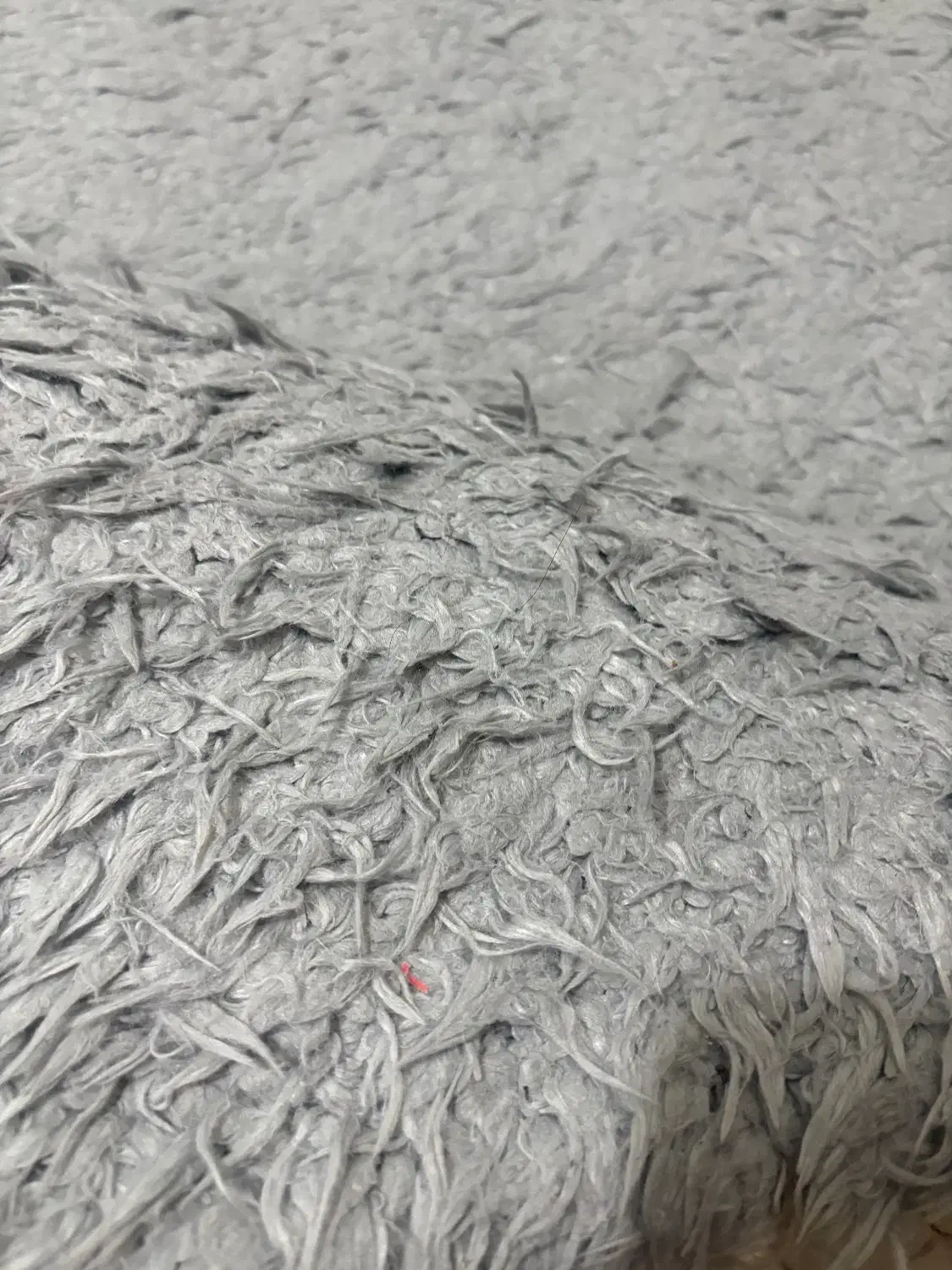 فرش|فرش|تهران, تاکسیرانی|دیوار