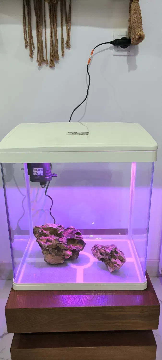 آکواریوم دلسا مدل k390|ماهی|کرج, ساسانی (قلمستان)|دیوار