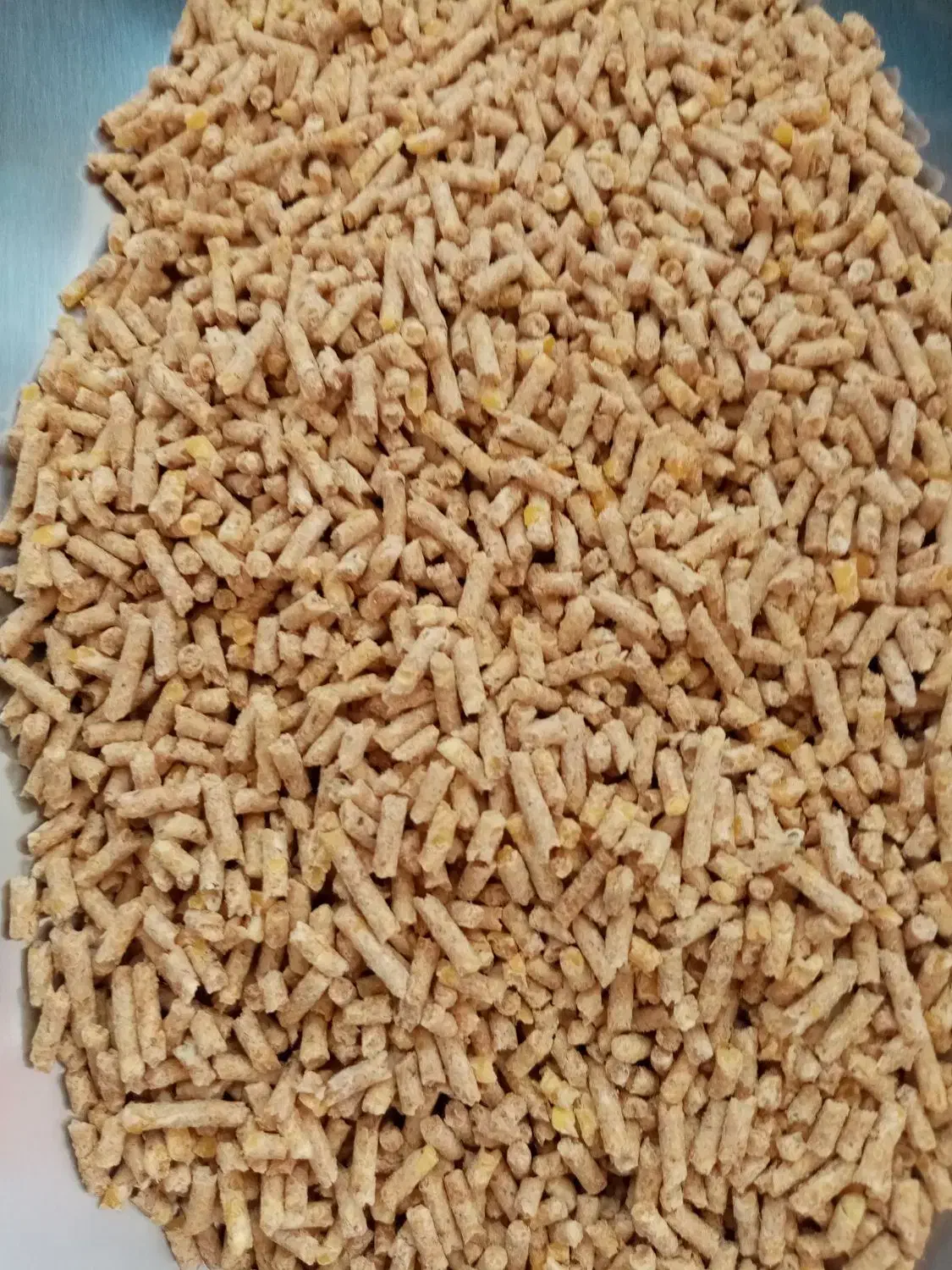 دان آماده ماکیان|لوازم جانبی حیوانات|قلعه نو, |دیوار