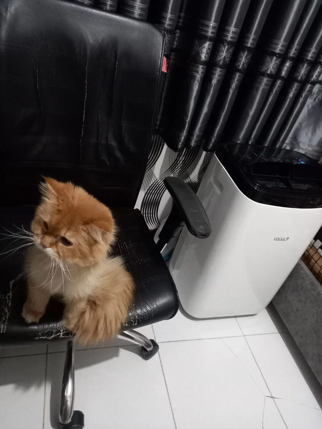 پرتابل|کولر گازی و فنکوئل|تهران, جوادیه تهرانپارس|دیوار