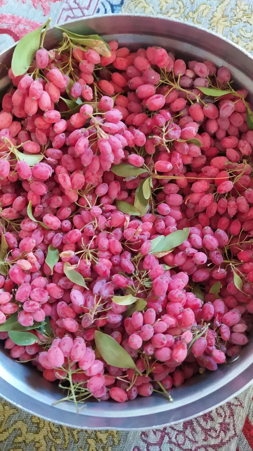 زرشک تازه باشاخه آبدار|خوردنی و آشامیدنی|بیرجند, |دیوار