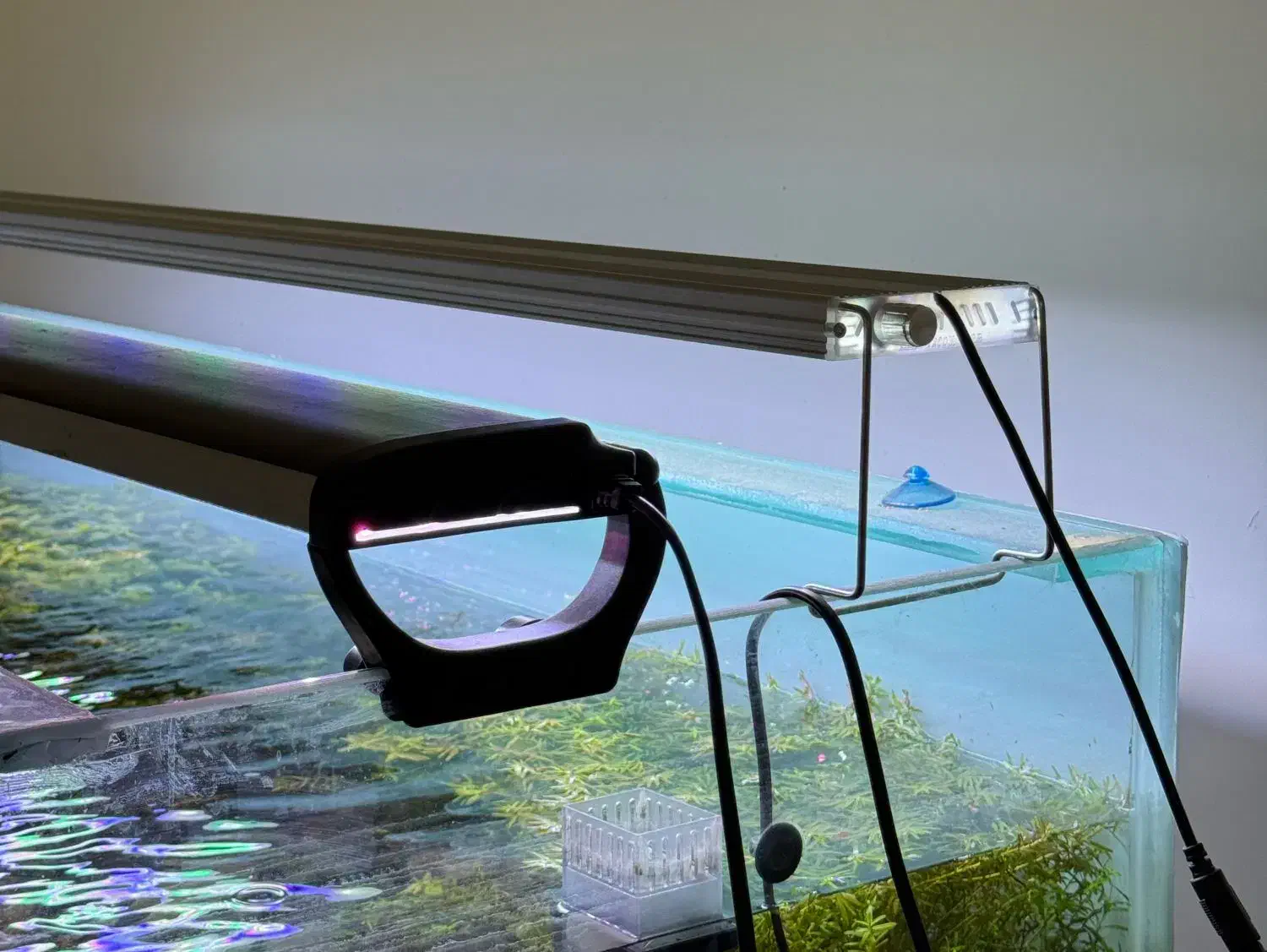 نور مخصوص پلنت|ماهی|بهبهان, |دیوار