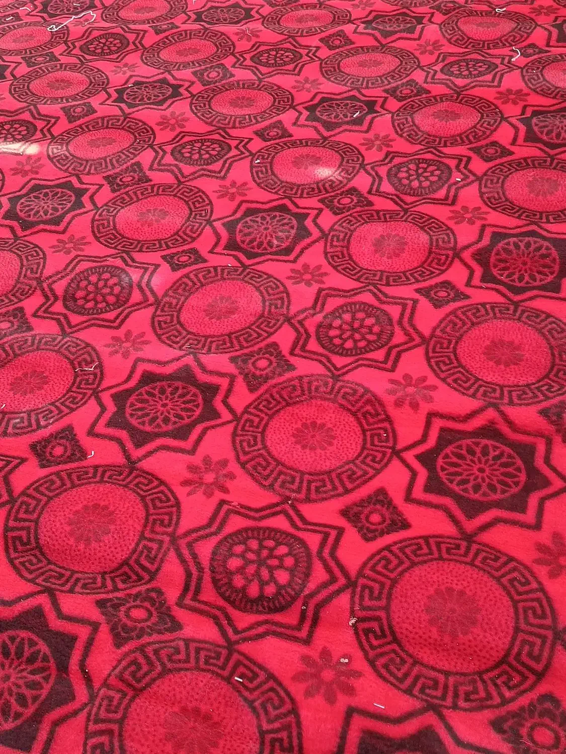 موکت|موکت|گرمسار, |دیوار