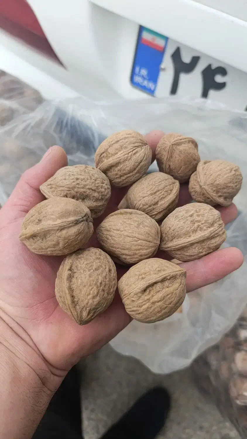 گردو محلی درجه یک|خوردنی و آشامیدنی|چرام, |دیوار