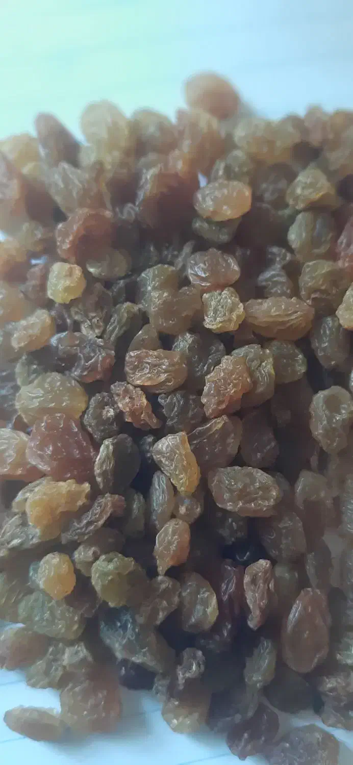 حبوبات|حراج|اصفهان, فجر|دیوار