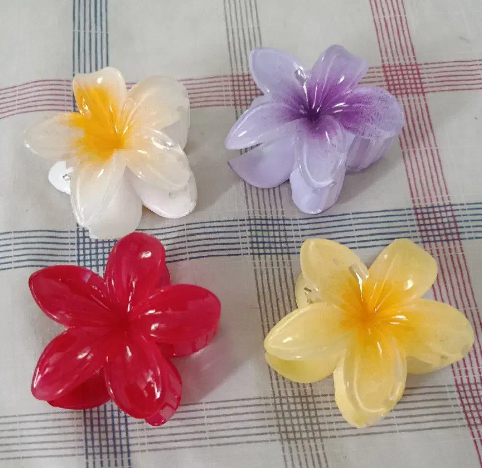 کلیپس|زیورآلات و اکسسوری|تهران, مشیریه|دیوار