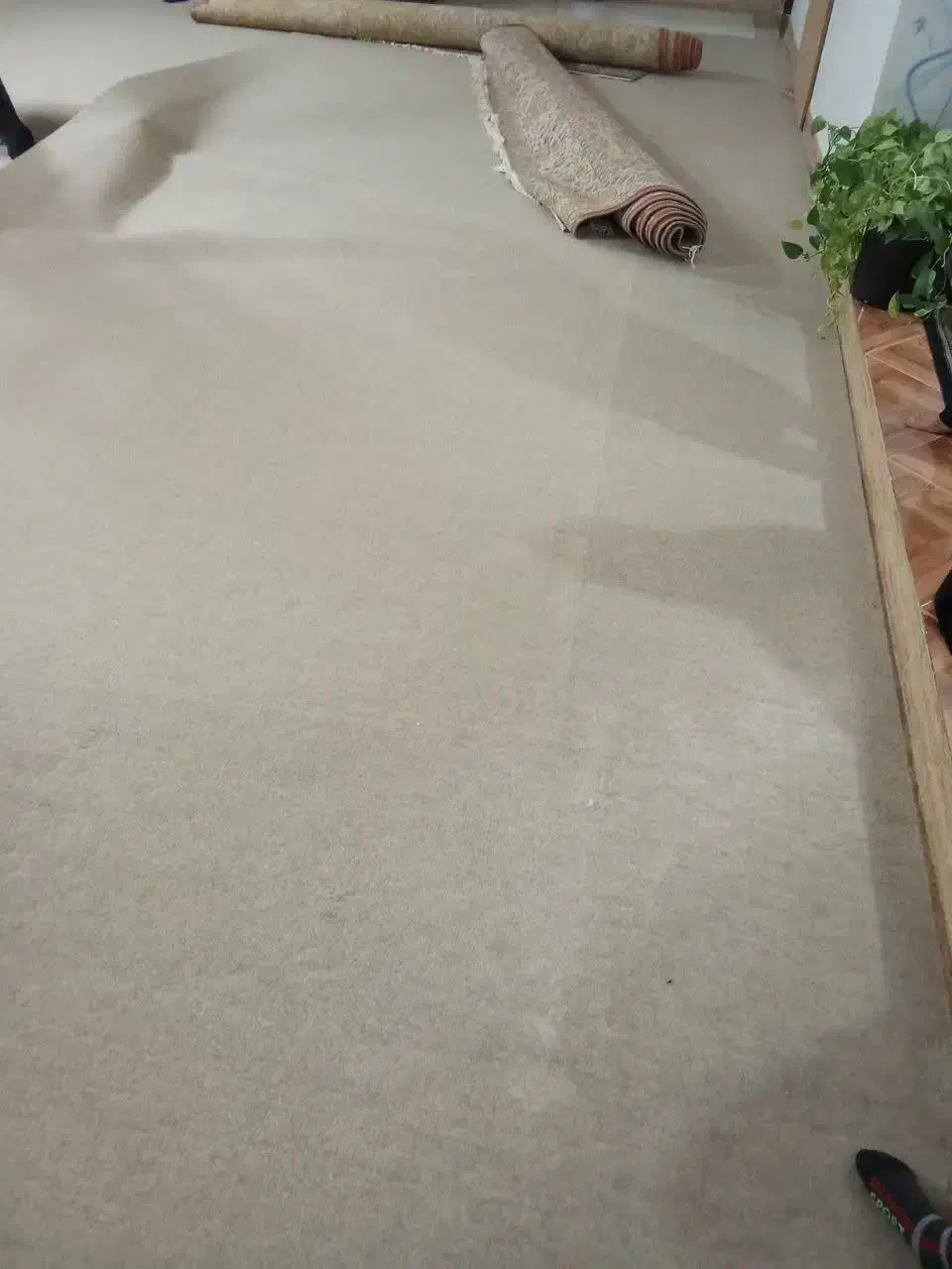 ۵۰ متر موکت  نسکافه ای|موکت|بروجرد, |دیوار