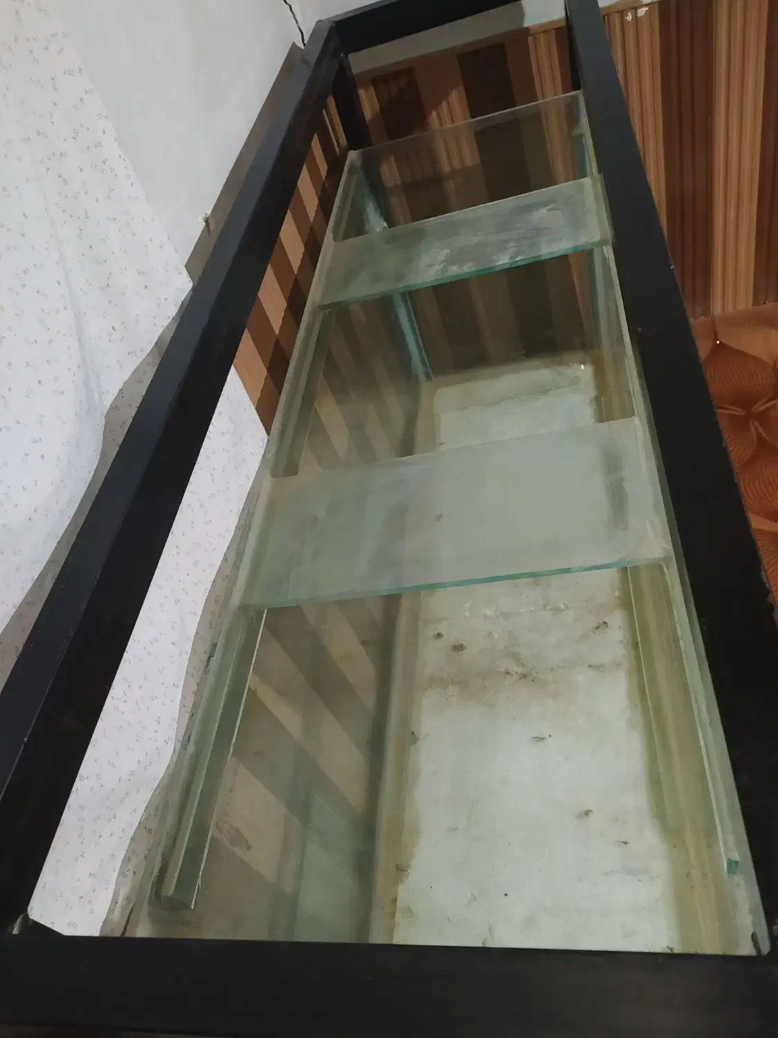 اکواریوم 10 میل سفارشی|ماهی|بناب, |دیوار