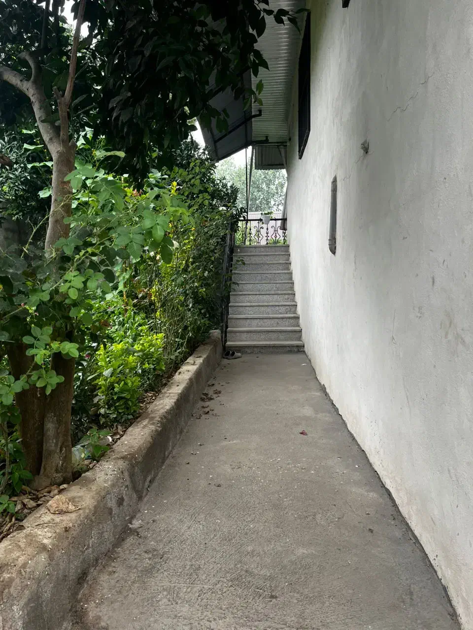 ویلا نارنجستان در بام بابل|اجارهٔ کوتاهمدت ویلا و باغ|گلوگاه بابل (گلیا), |دیوار