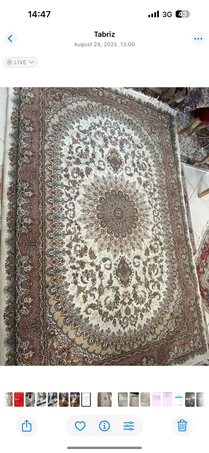 فرش ماشینی ۶متری|فرش|سهند, |دیوار