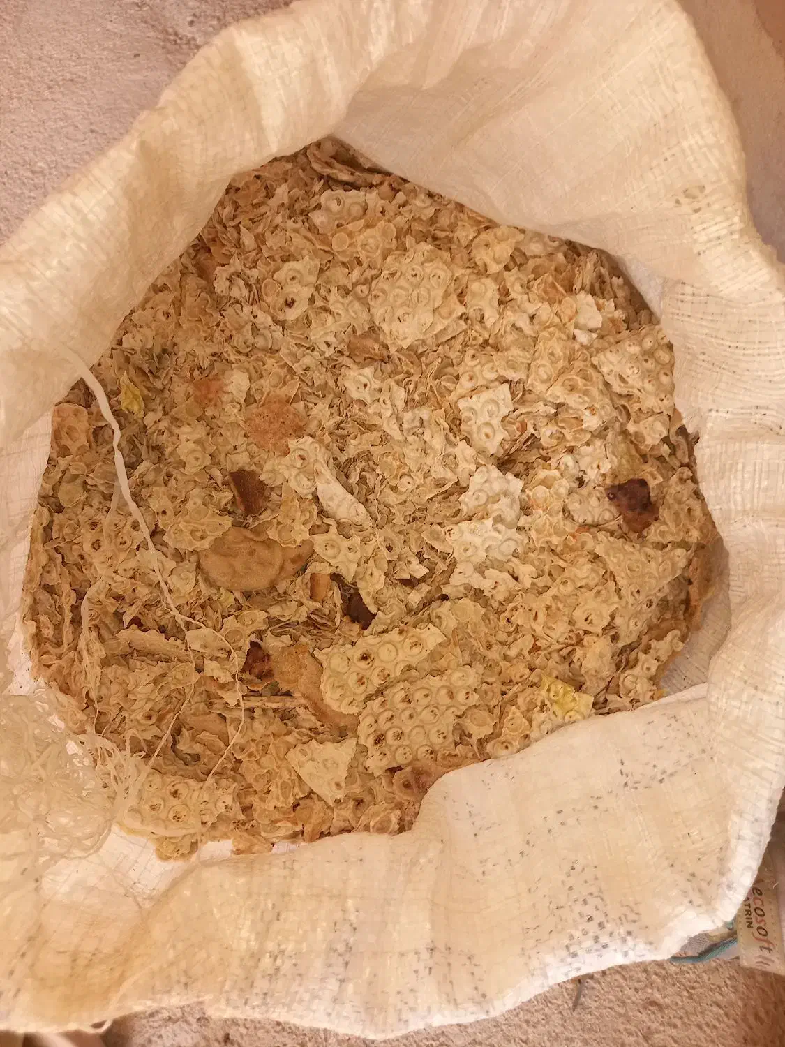 نان خشک|حیوانات مزرعه|بندر کنگان, |دیوار