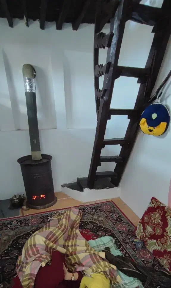 اجاره سالانه کلبه جنگلی|اجارهٔ خانه و ویلا|لاهیجان, لیل|دیوار