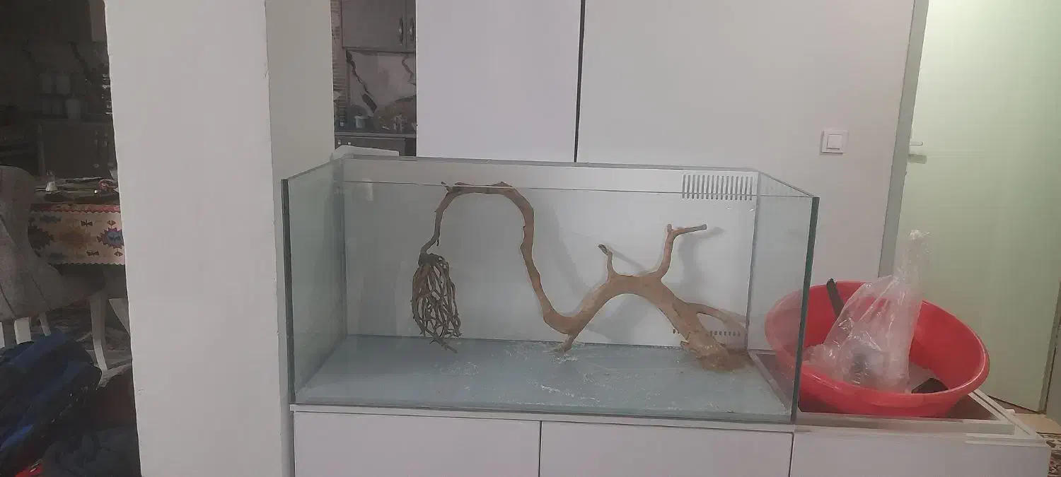 چوب آبنوس آکواریوم|ماهی|تهران, قصر فیروزه ۲|دیوار